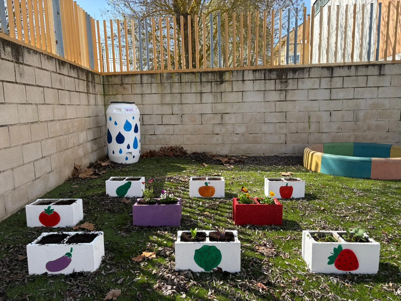 Foto 2 - C&aacute;ritas desarrolla un programa de huertos escolares en varios centros de Ciudad Rodrigo