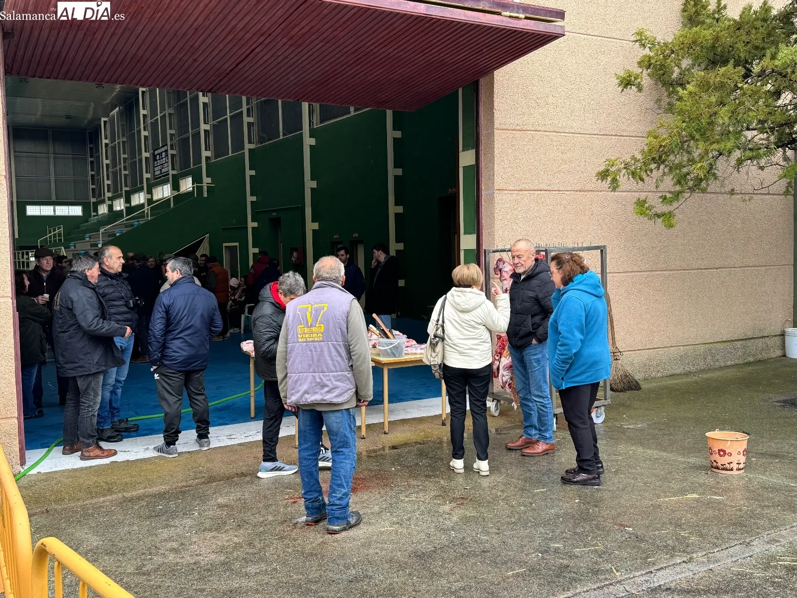 Foto 2 - Tradici&oacute;n y convivencia pueden con el frio y la lluvia en la IX Matanza de Macotera