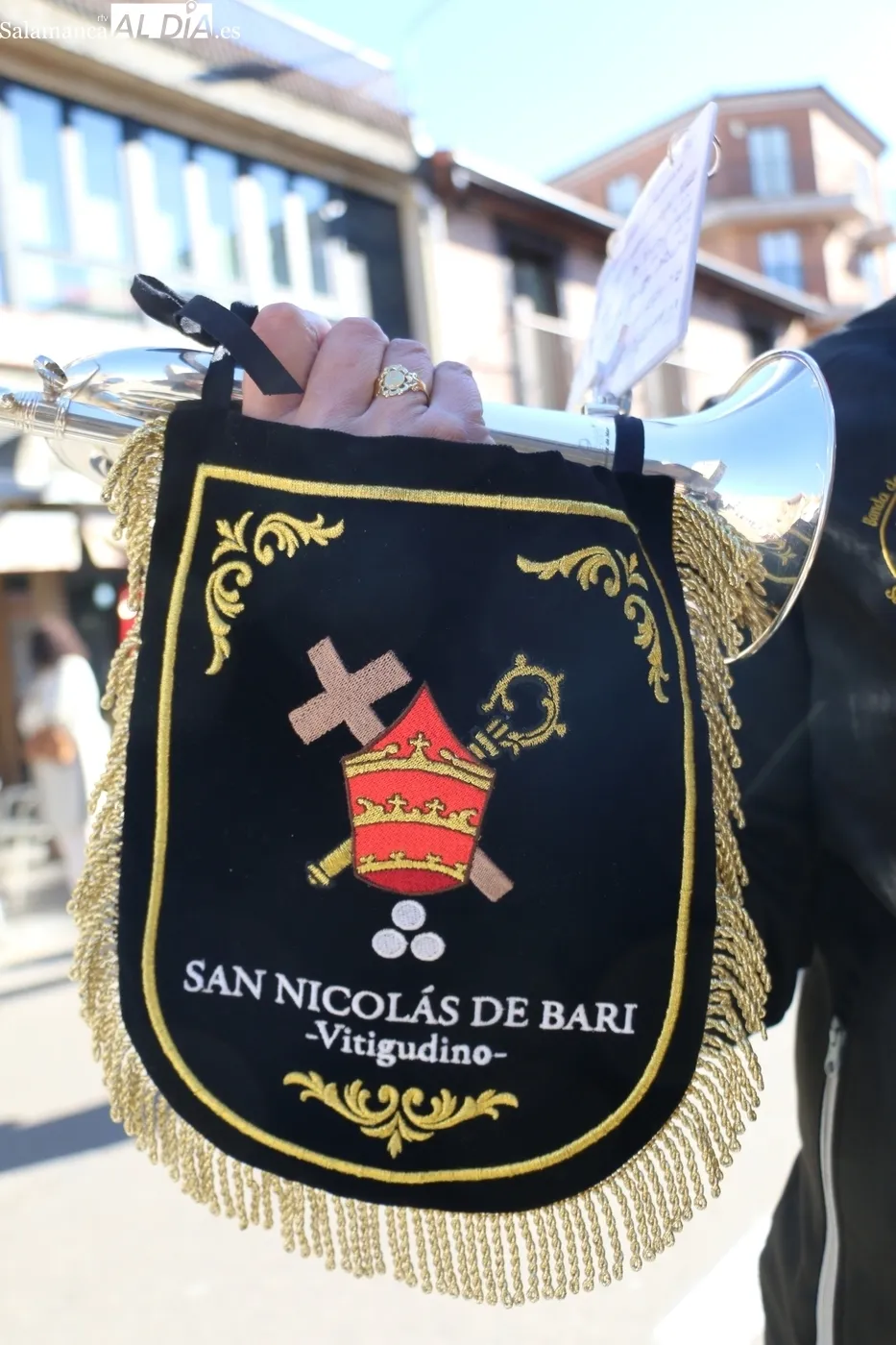 Procesión de La Borriquilla en Vitigudino / CORRAL 