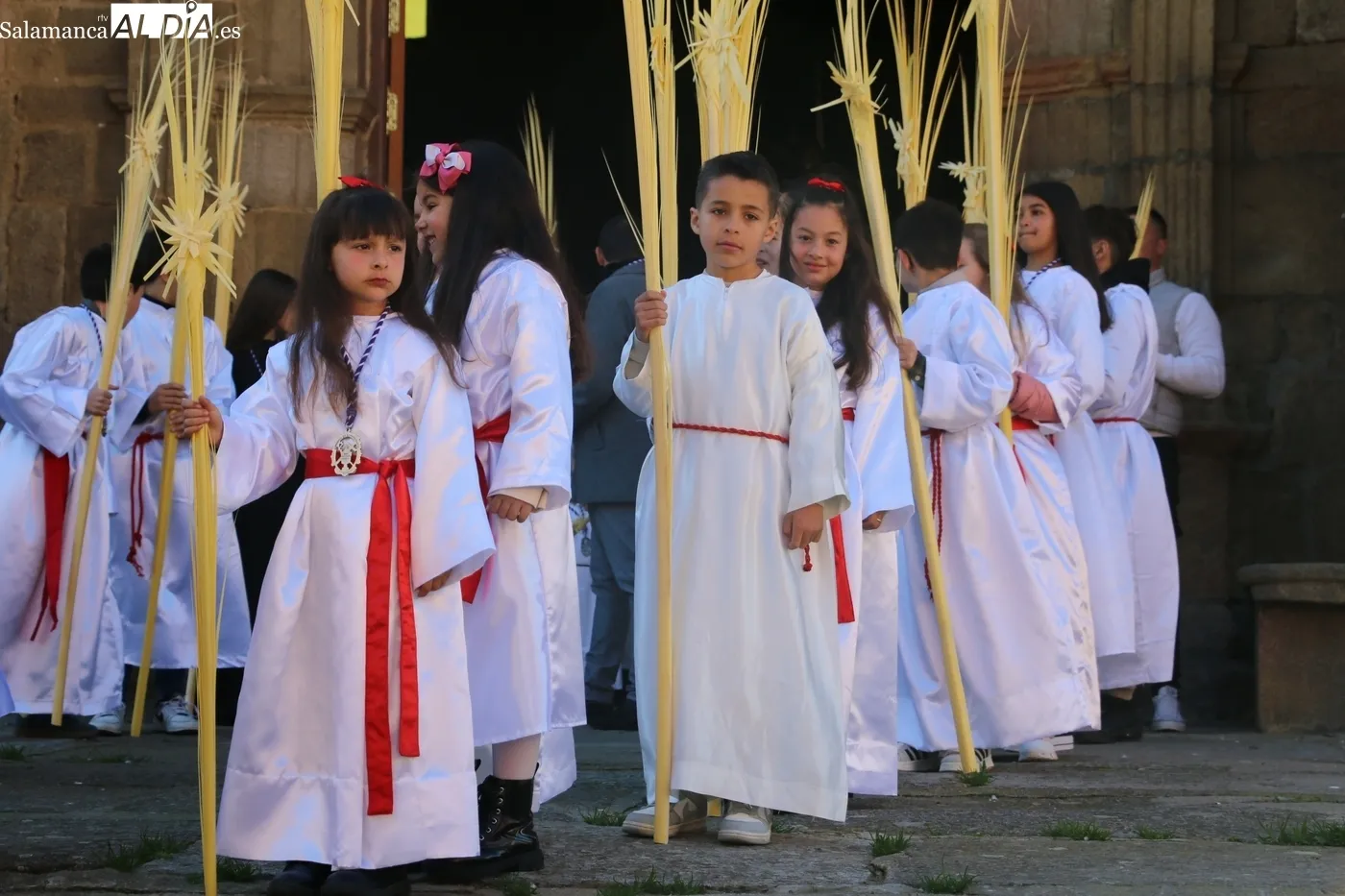 Procesión de La Borriquilla en Vitigudino / CORRAL 