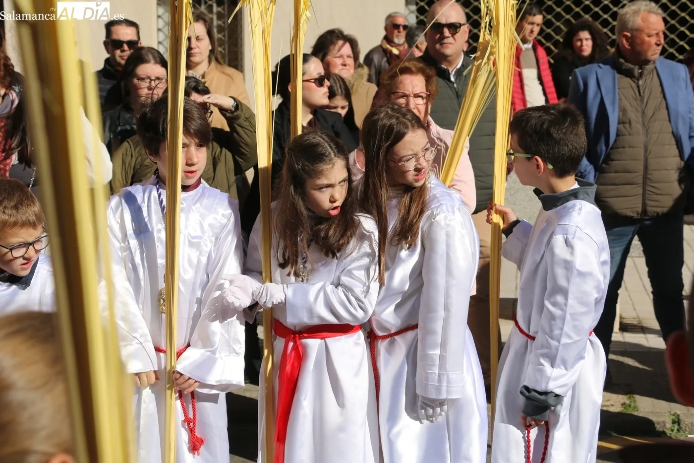 Procesión de La Borriquilla en Vitigudino / CORRAL 