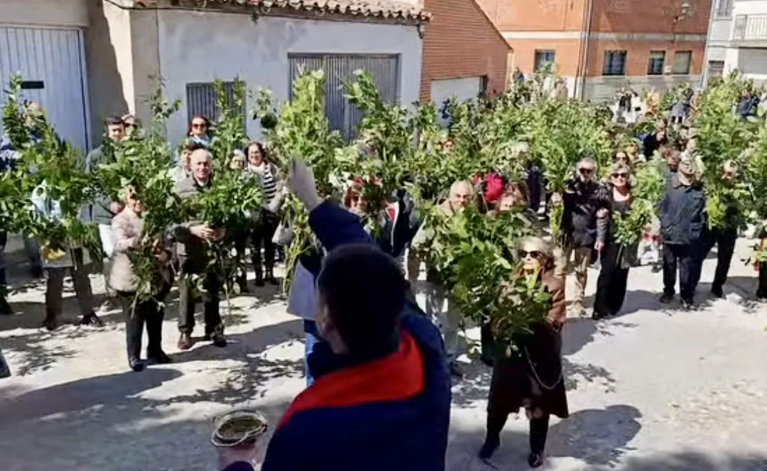 Foto 2 - Un ambientado Domingo de Ramos pone en marcha la Semana Santa en Macotera