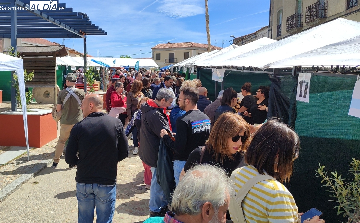 Feria del Queso de Hinojosa de Duero 2026: fechas y novedades