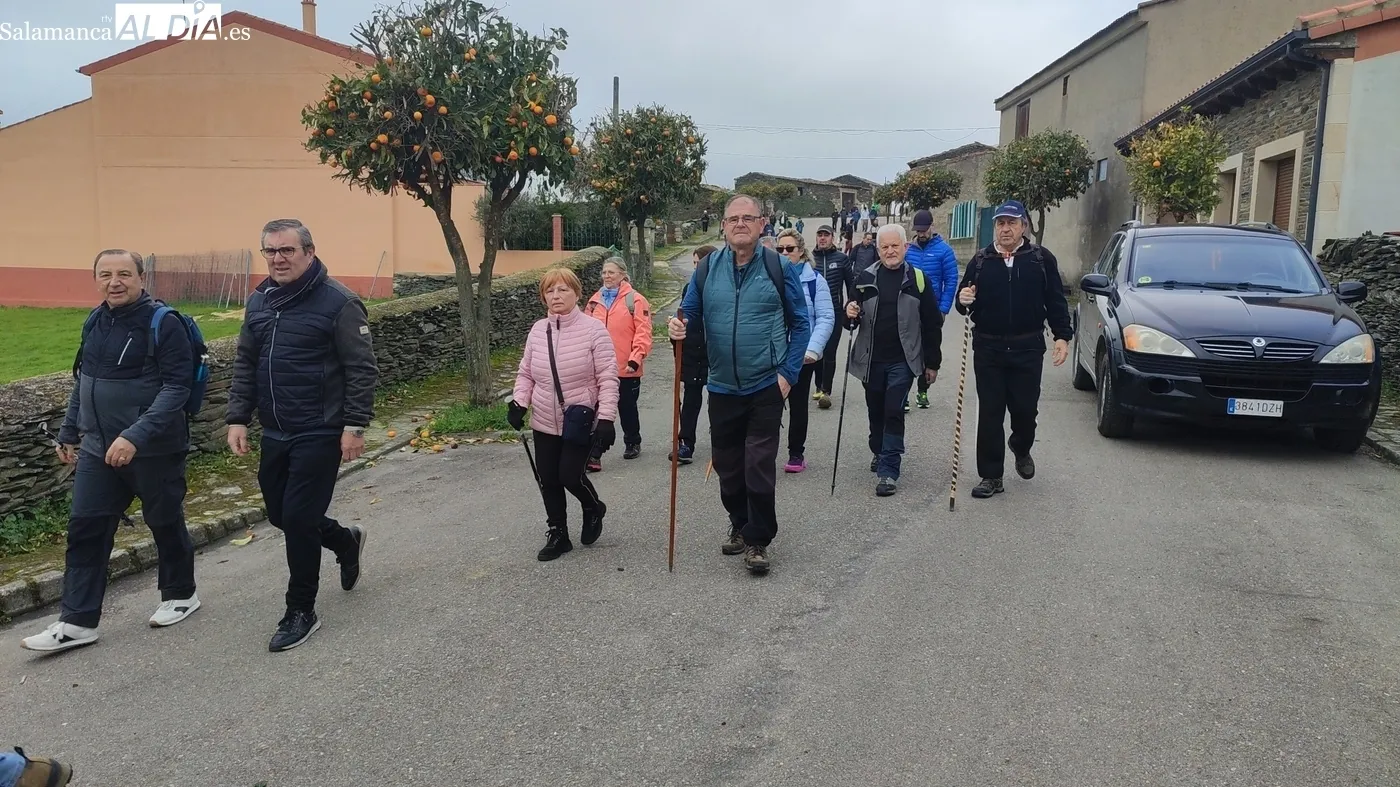 Nuevo éxito de la marcha senderias de Vilvestre / CORRAL
