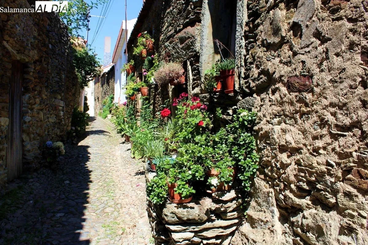 La Rua dos Gatos, en São João da Pesqueira (Douro, Portugal) | MARTÍN-GARAY