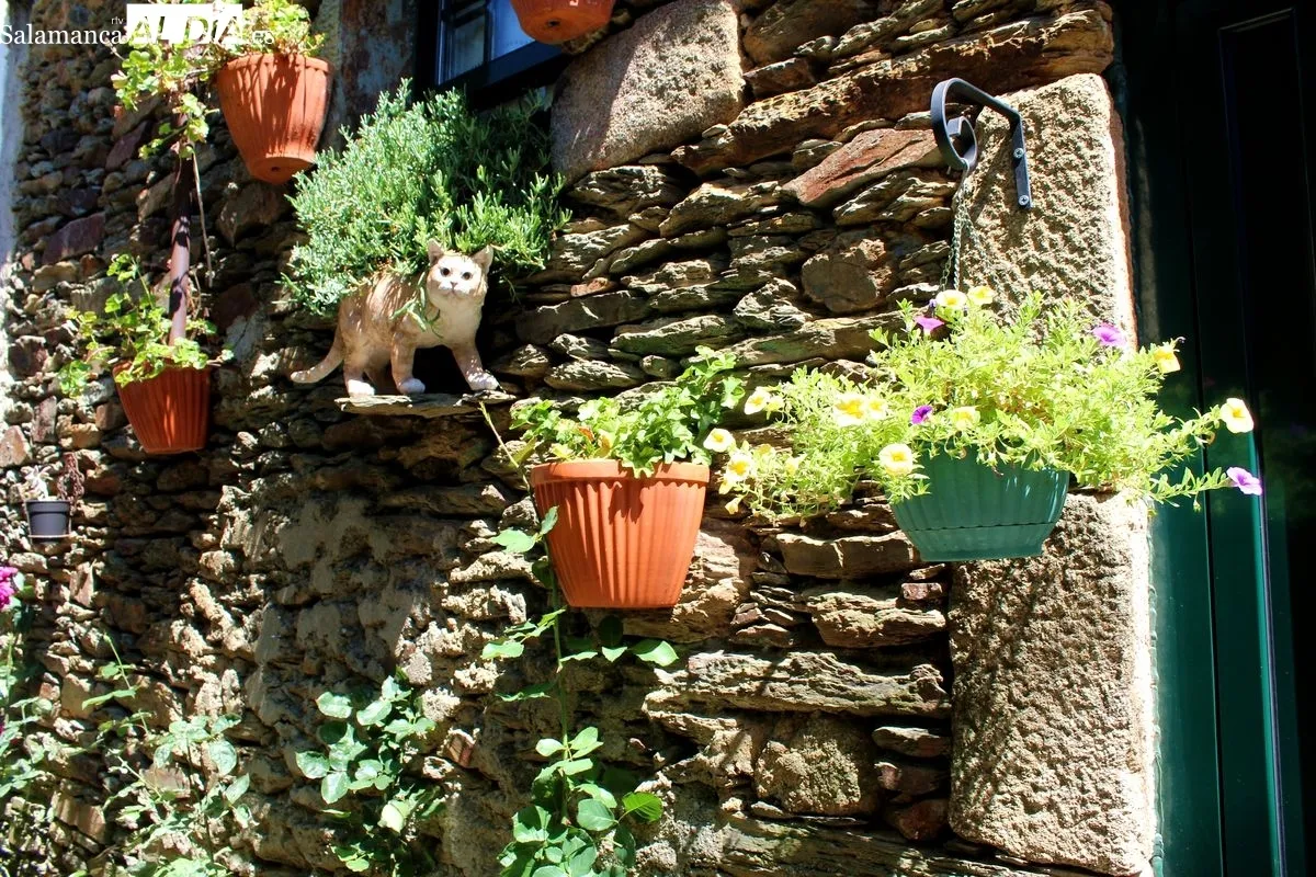 La Rua dos Gatos, en São João da Pesqueira (Douro, Portugal) | MARTÍN-GARAY