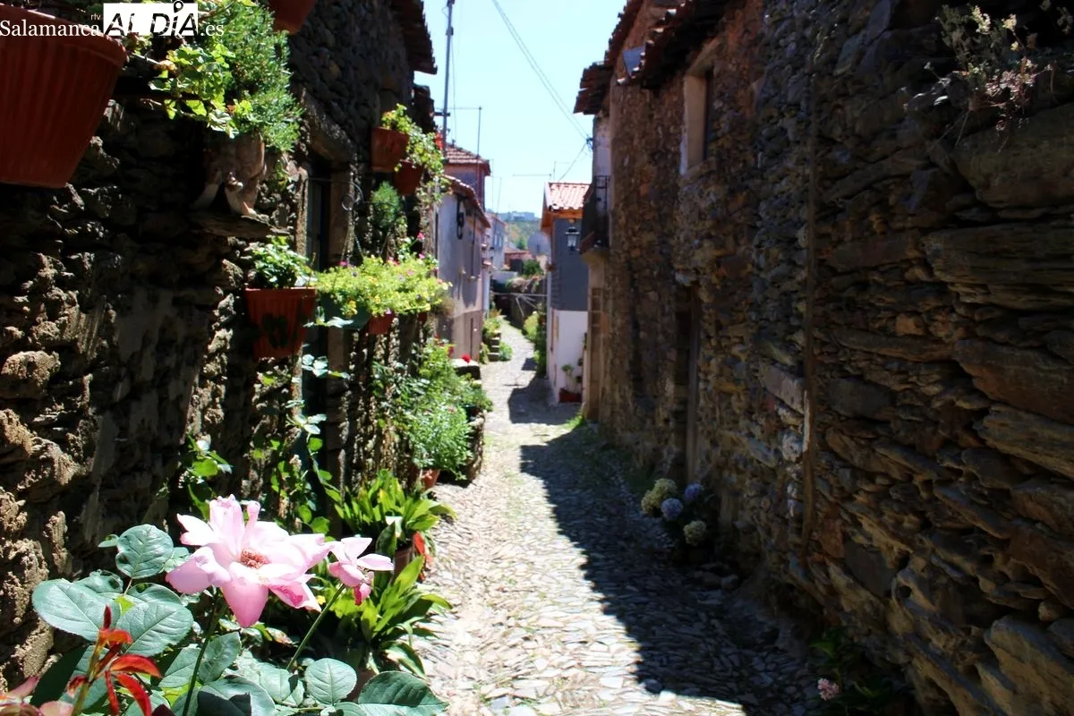 La Rua dos Gatos, en São João da Pesqueira (Douro, Portugal) | MARTÍN-GARAY
