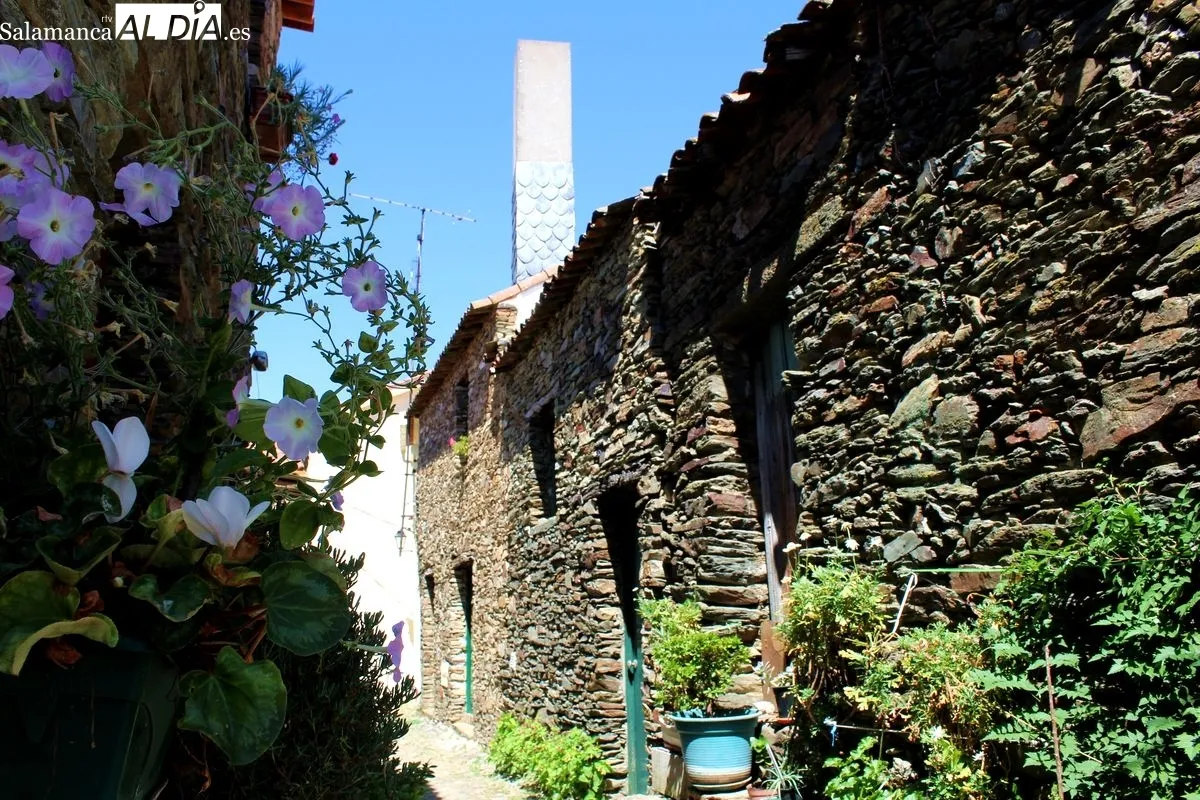 La Rua dos Gatos, en São João da Pesqueira (Douro, Portugal) | MARTÍN-GARAY