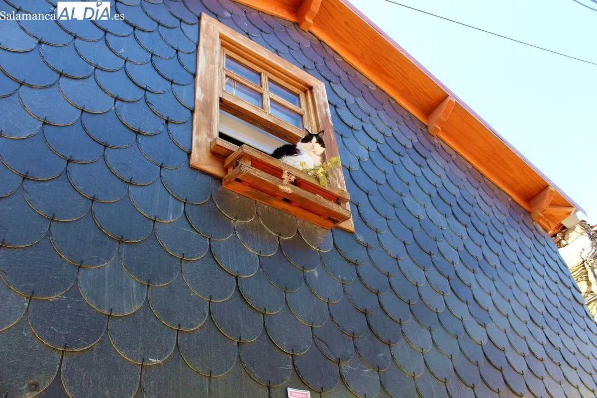 La Rua dos Gatos, en São João da Pesqueira (Douro, Portugal) | MARTÍN-GARAY
