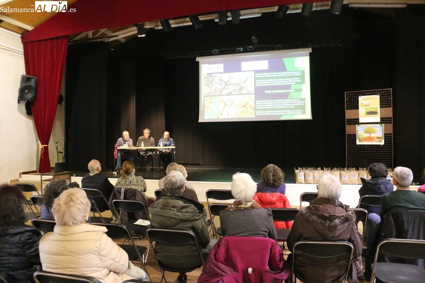 Presentación del proyecto 'Monleras R que R' / CORRAL