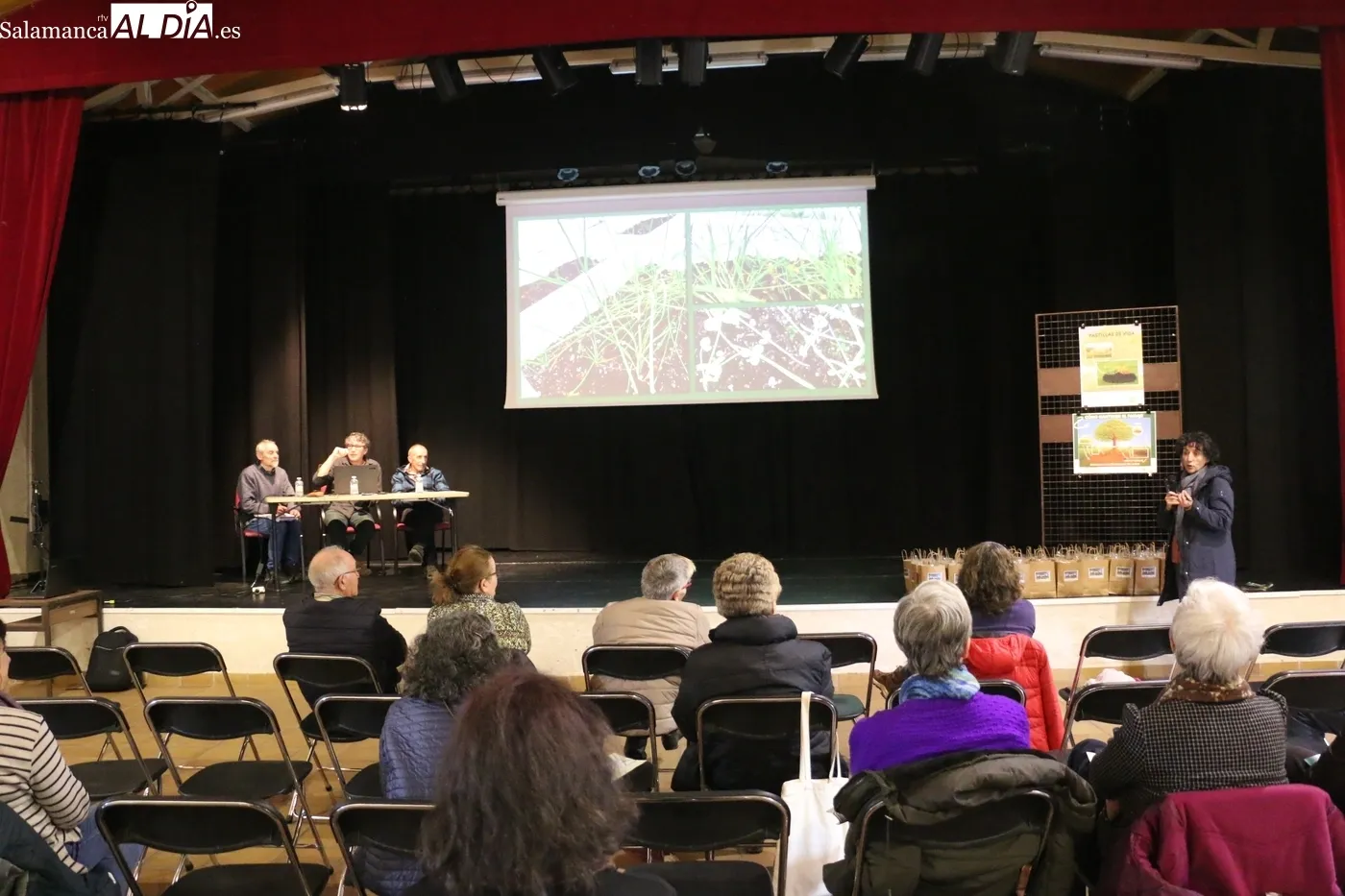 Presentación del proyecto 'Monleras R que R' / CORRAL