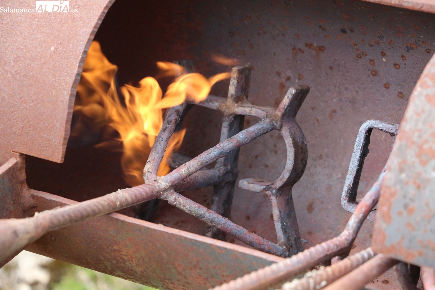 Herradero en El Cubo de Don Sancho: marcaje de 41 reses