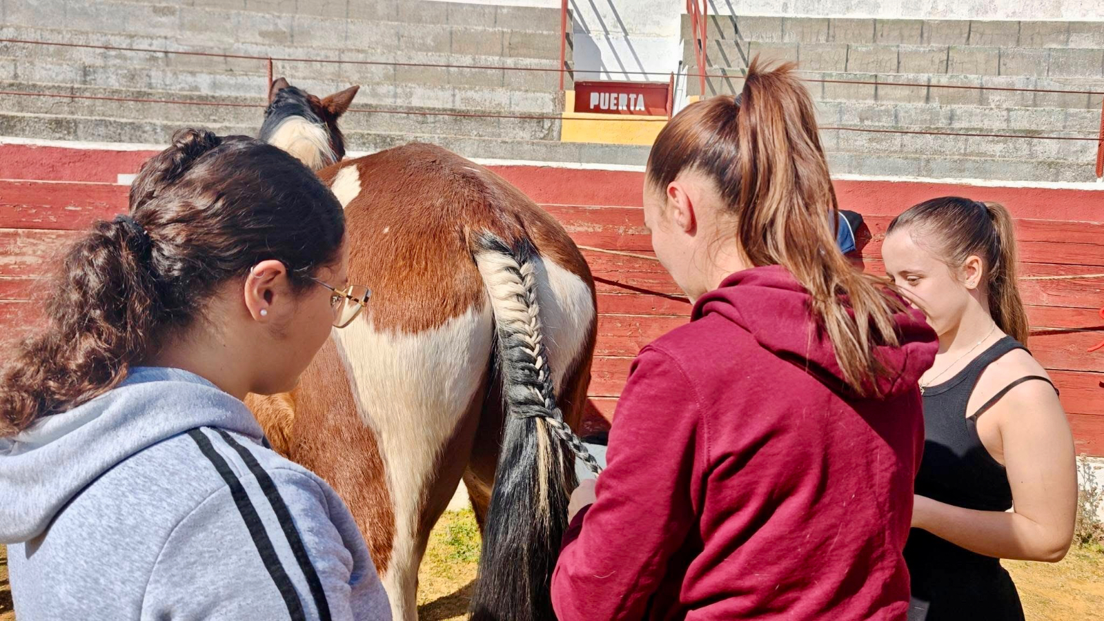 Diversión y bonito ambiente, protagonistas de una jornada de puesta a punto de los caballos de Las Villas