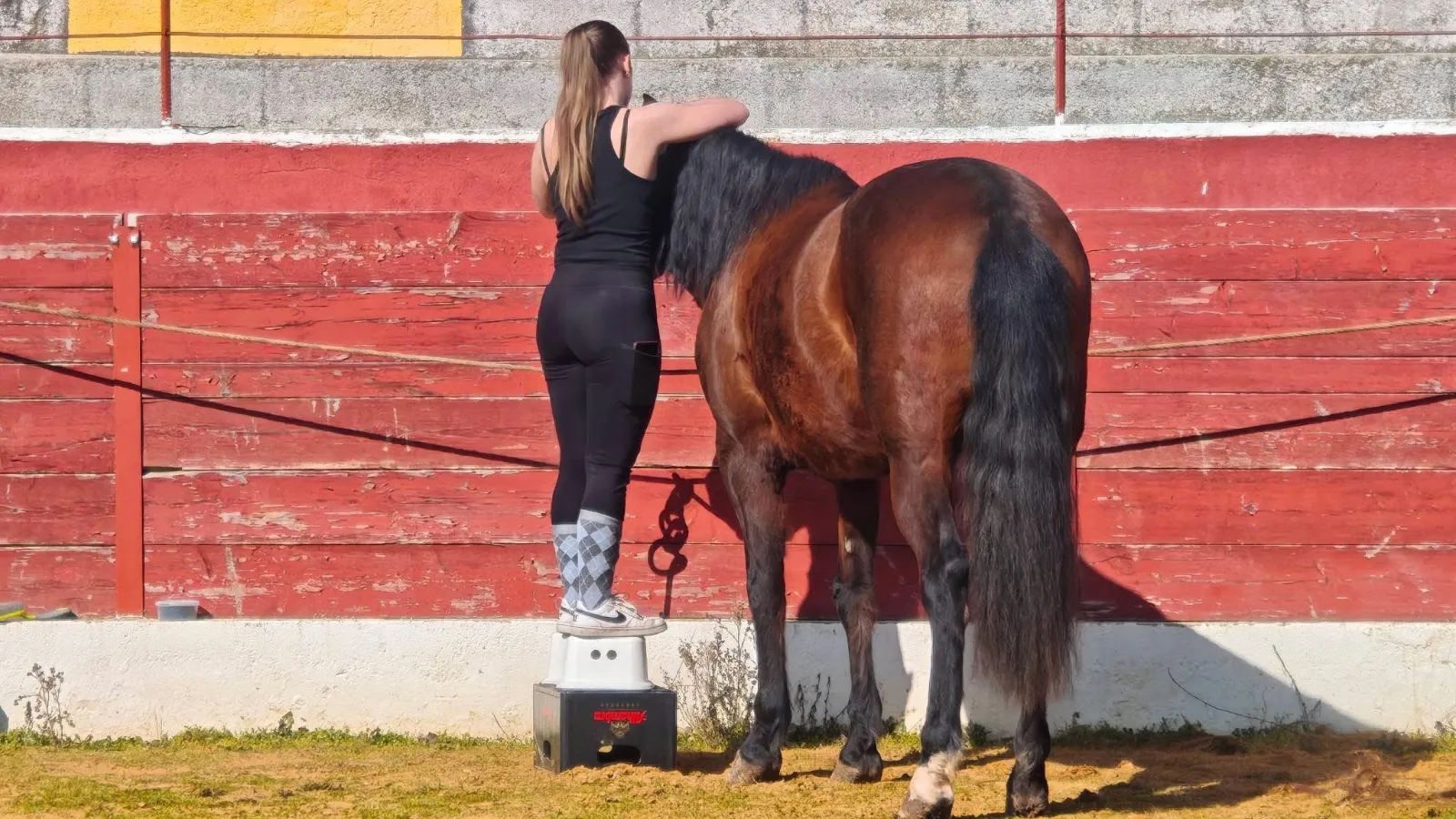 Foto 4 - Diversi&oacute;n y bonito ambiente, protagonistas de una jornada de "puesta a punto" de los caballos de Las Villas