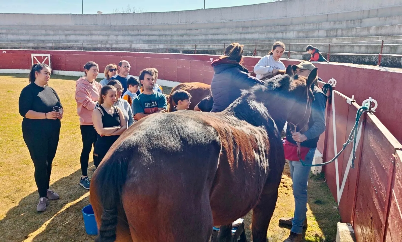 Foto 5 - Diversi&oacute;n y bonito ambiente, protagonistas de una jornada de "puesta a punto" de los caballos de Las Villas