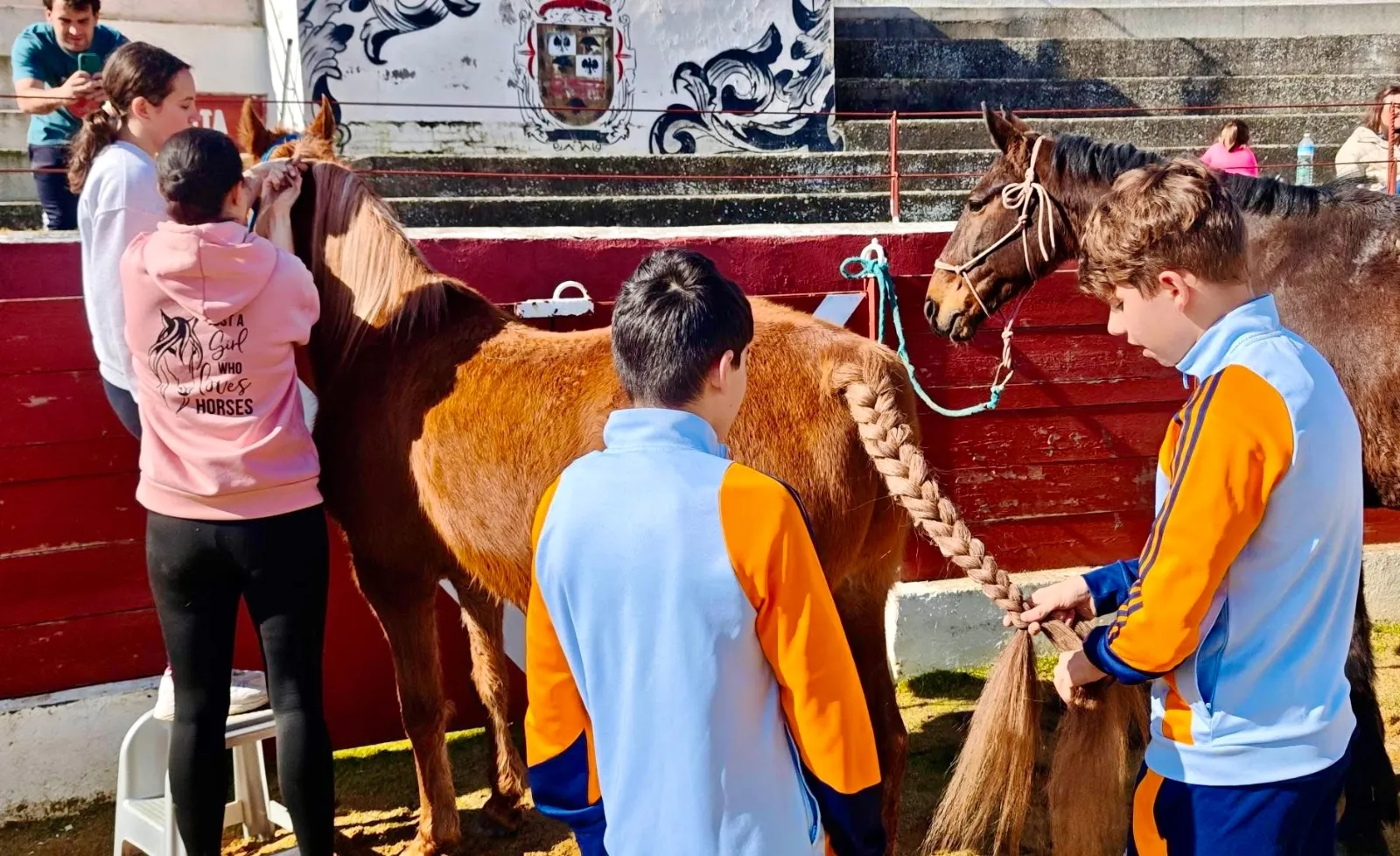 Foto 6 - Diversi&oacute;n y bonito ambiente, protagonistas de una jornada de "puesta a punto" de los caballos de Las Villas