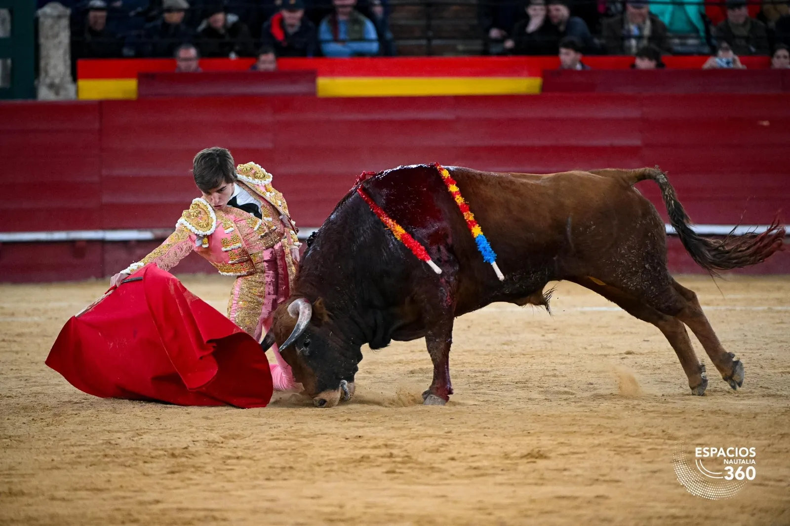 Julio Norte a hombros en Valencia | Foto: Espacios Nautalia 360