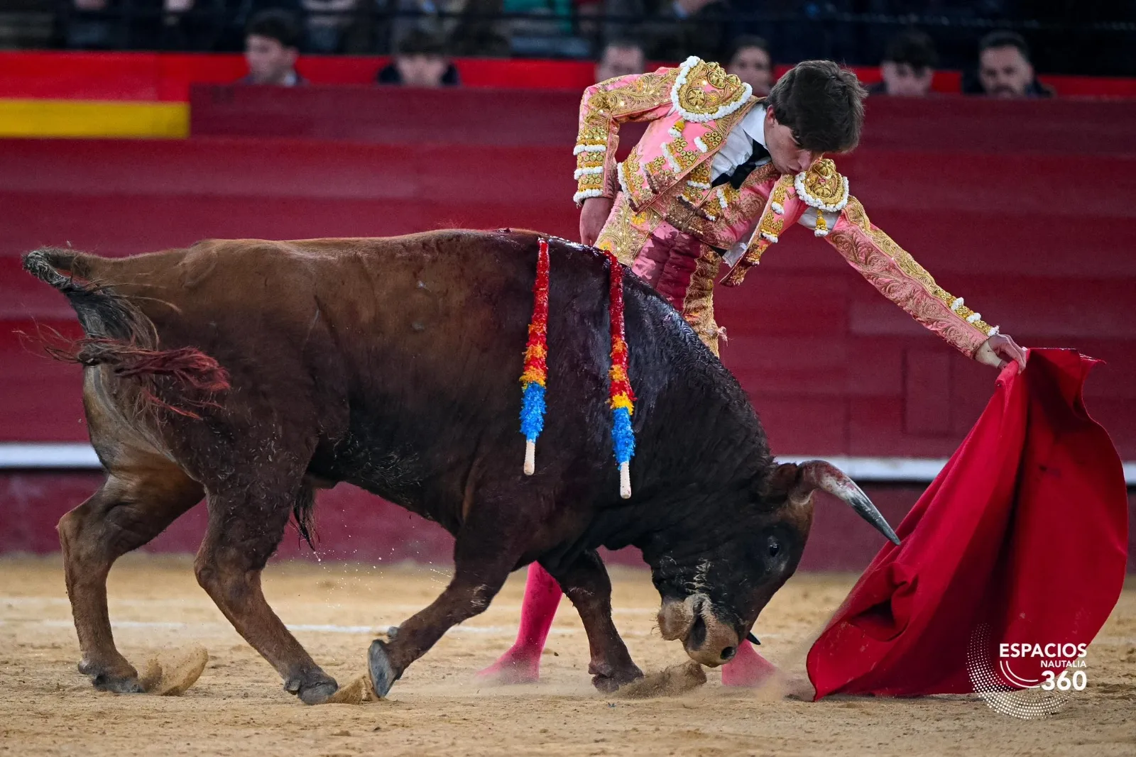 Julio Norte a hombros en Valencia | Foto: Espacios Nautalia 360