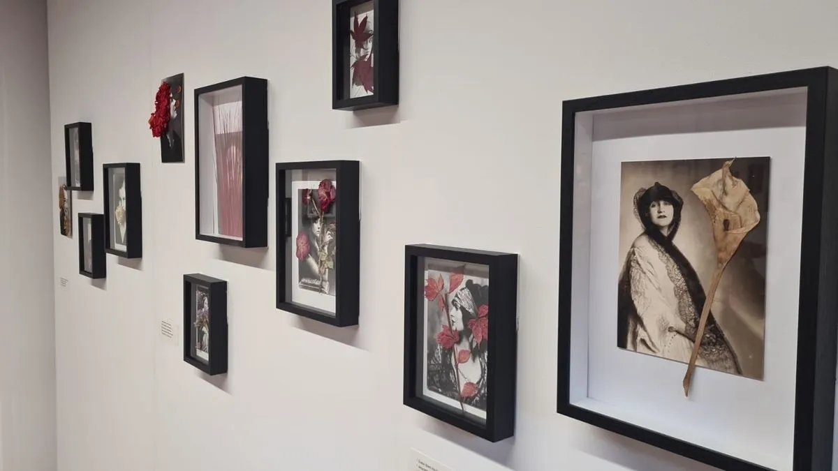 La Fonda Veracruz presenta 'Ancestras  Maestras', una exposición de Rocío Bueno que rescata la figura de mujeres creadoras del siglo XX