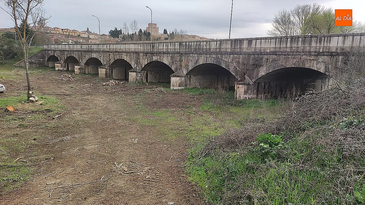 Limpieza en los márgenes del Puente Nuevo 