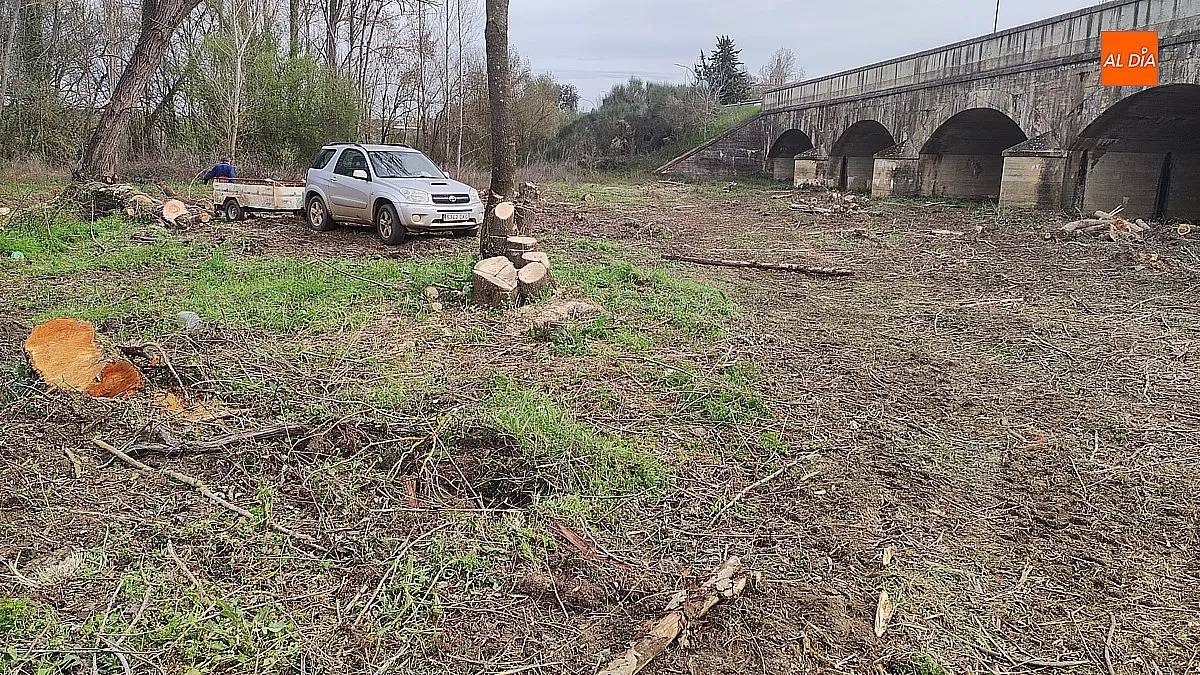 Limpieza en los márgenes del Puente Nuevo 