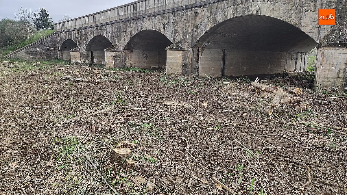 Limpieza en los márgenes del Puente Nuevo 