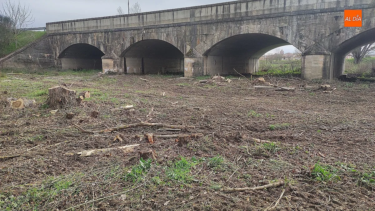 Limpieza en los márgenes del Puente Nuevo 