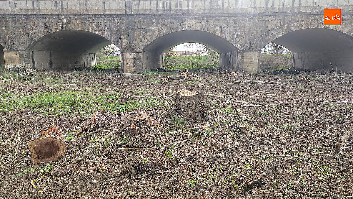 Limpieza y desbroce en las riberas del Puente Nuevo