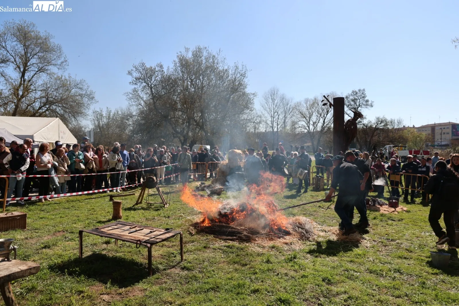 Matanza tradicional en la Isla del Soto | Fotos: David Sañudo