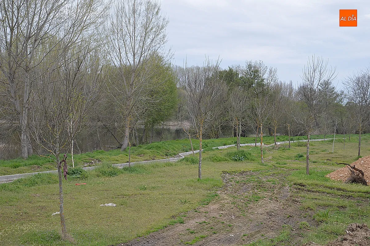 Foto 6 - Renovaci&oacute;n y creaci&oacute;n de &aacute;reas ajardinadas en el municipio