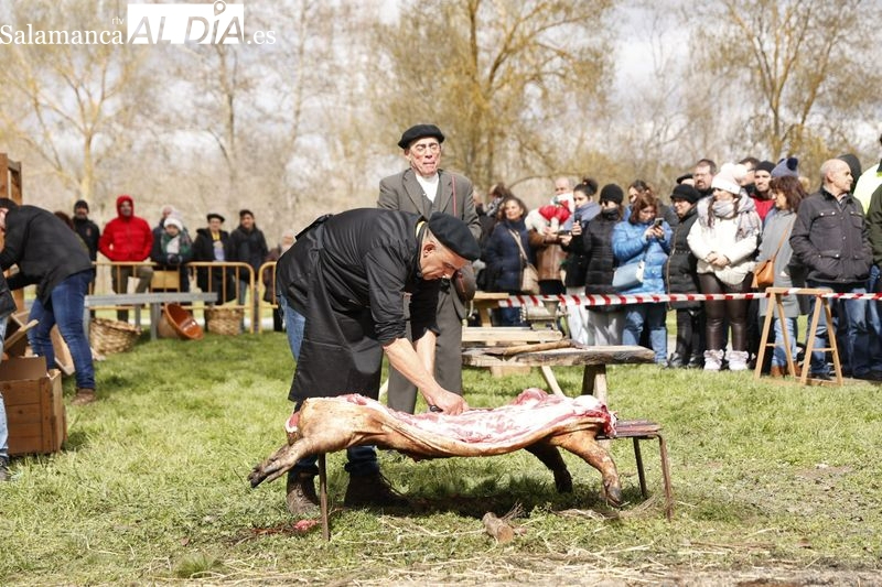 III Matanza Tradicional en la Isla del Soto de Santa Marta