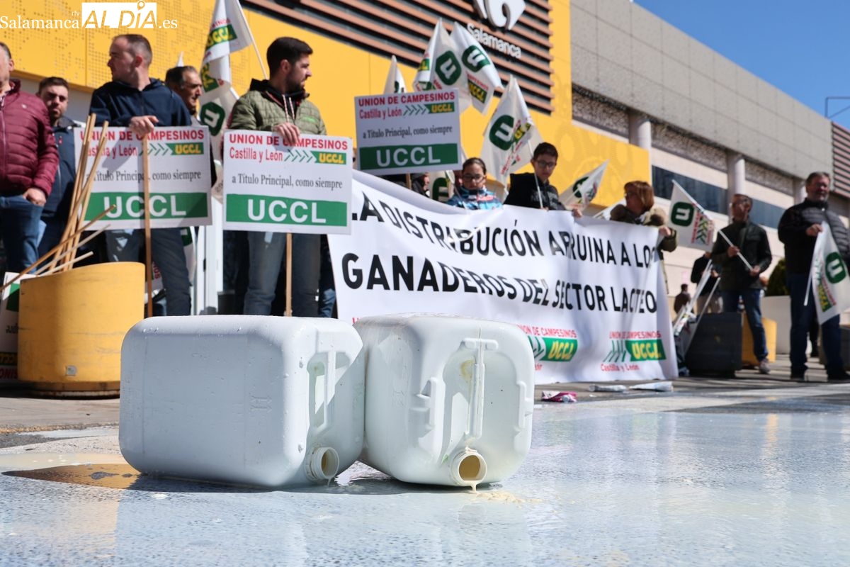 Ganaderos de Salamanca alertan sobre la leche a menos de 0,95 euros
