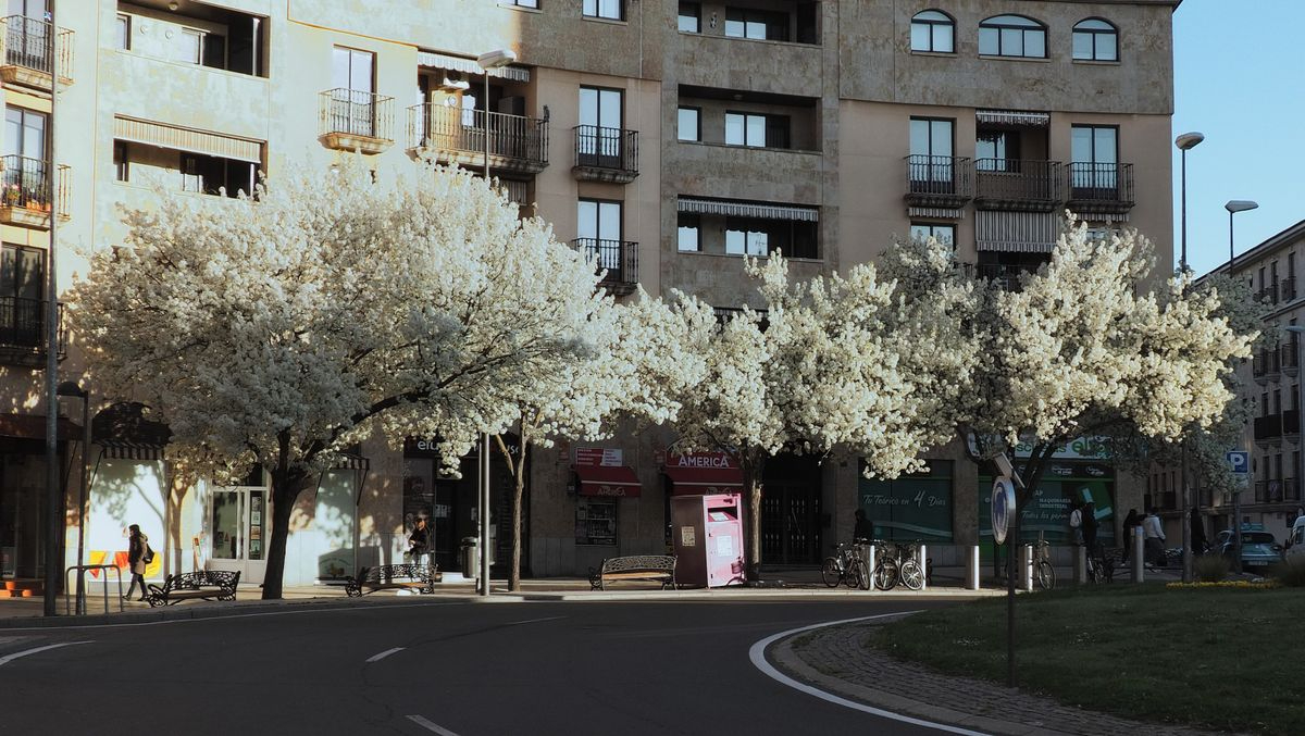 La vida y los sueños