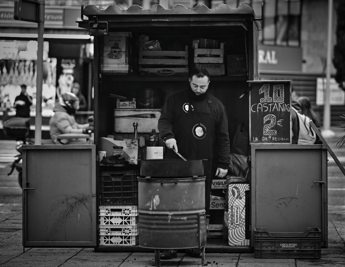 SALAMANCA. Puerta de Zamora