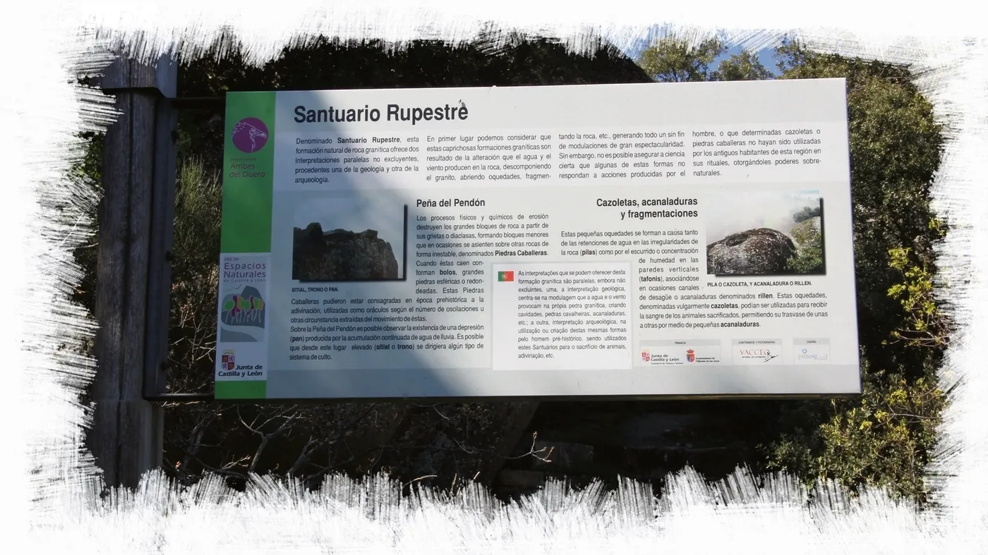 Cartel informativo de los restos hallados en el Teso de San Cristóbal  / CORRAL