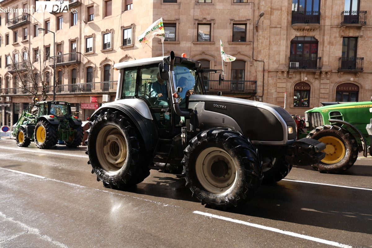 UPA Salamanca denuncia exclusión de jóvenes agricultores de ayudas