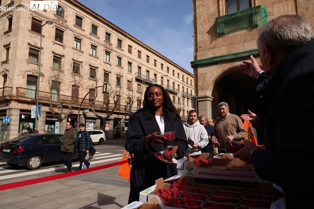 La organización agraria UPA ha repartido 700 tarrinas de fresas en la Plaza de la Constitución de Salamanca para promover el producto nacional. Foto de David Sañudo