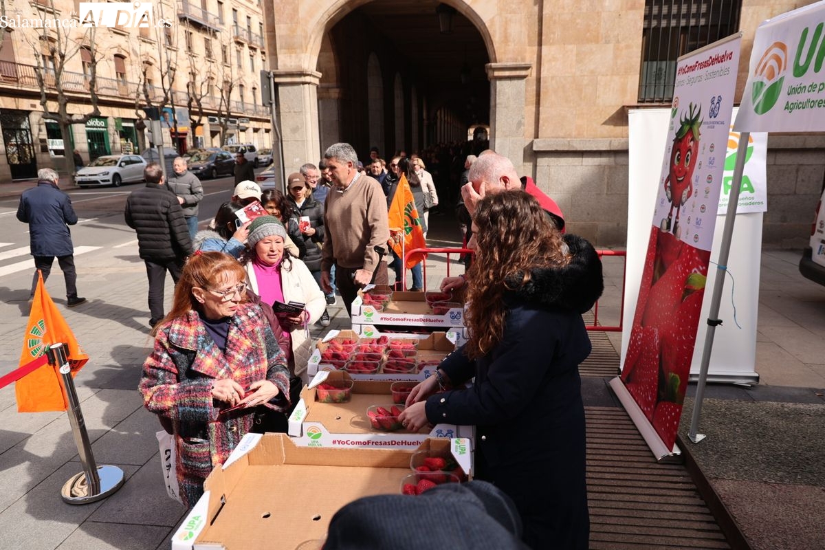 UPA denuncia en Salamanca la especulación con el precio de la fresa