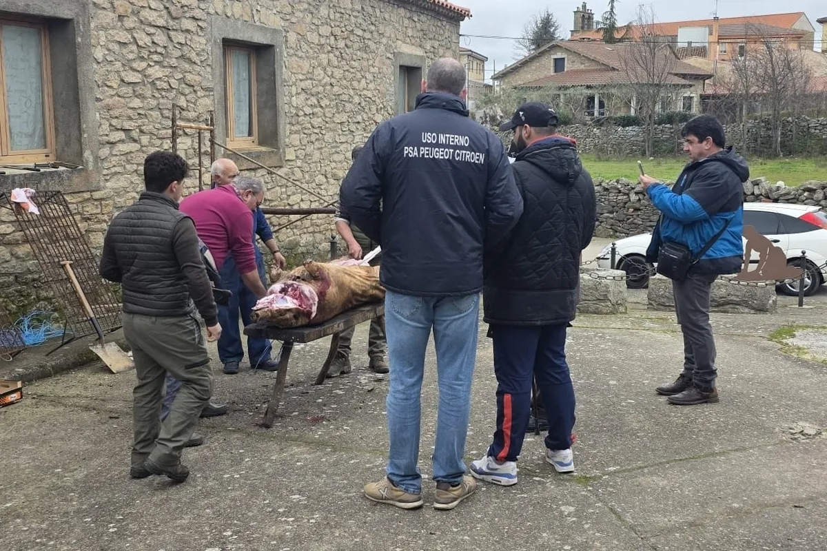 Matanza tradicional en Peralejos de Abajo