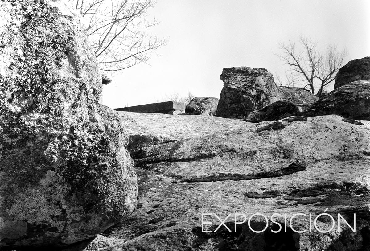 Ernst Lalleman abre estudio en La Zarza de Pumareda