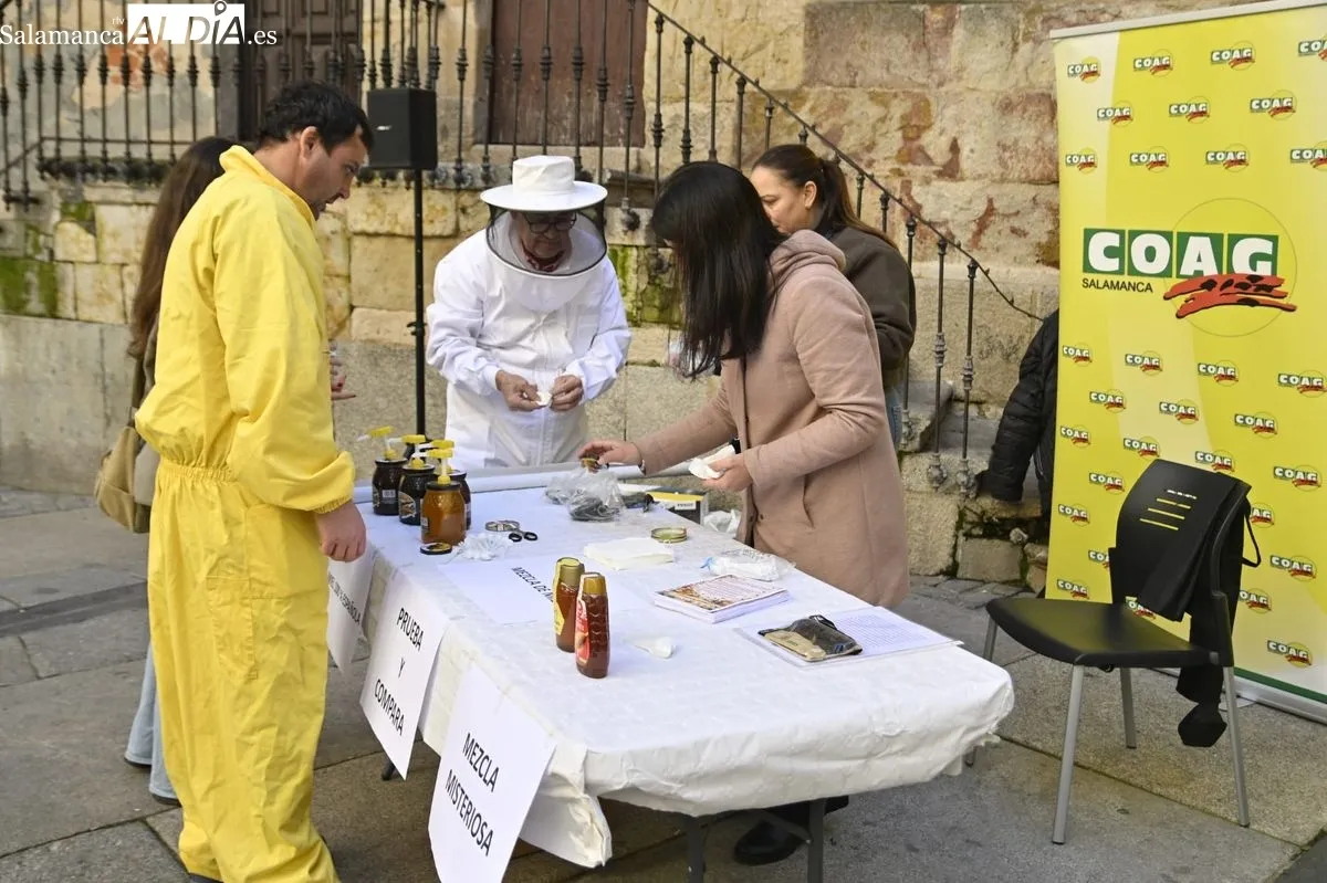 Protesta de apicultores salmantinos, convocados por COAG, en la Plaza del Corrillo. Foto de SALAMANCA AL DÍA