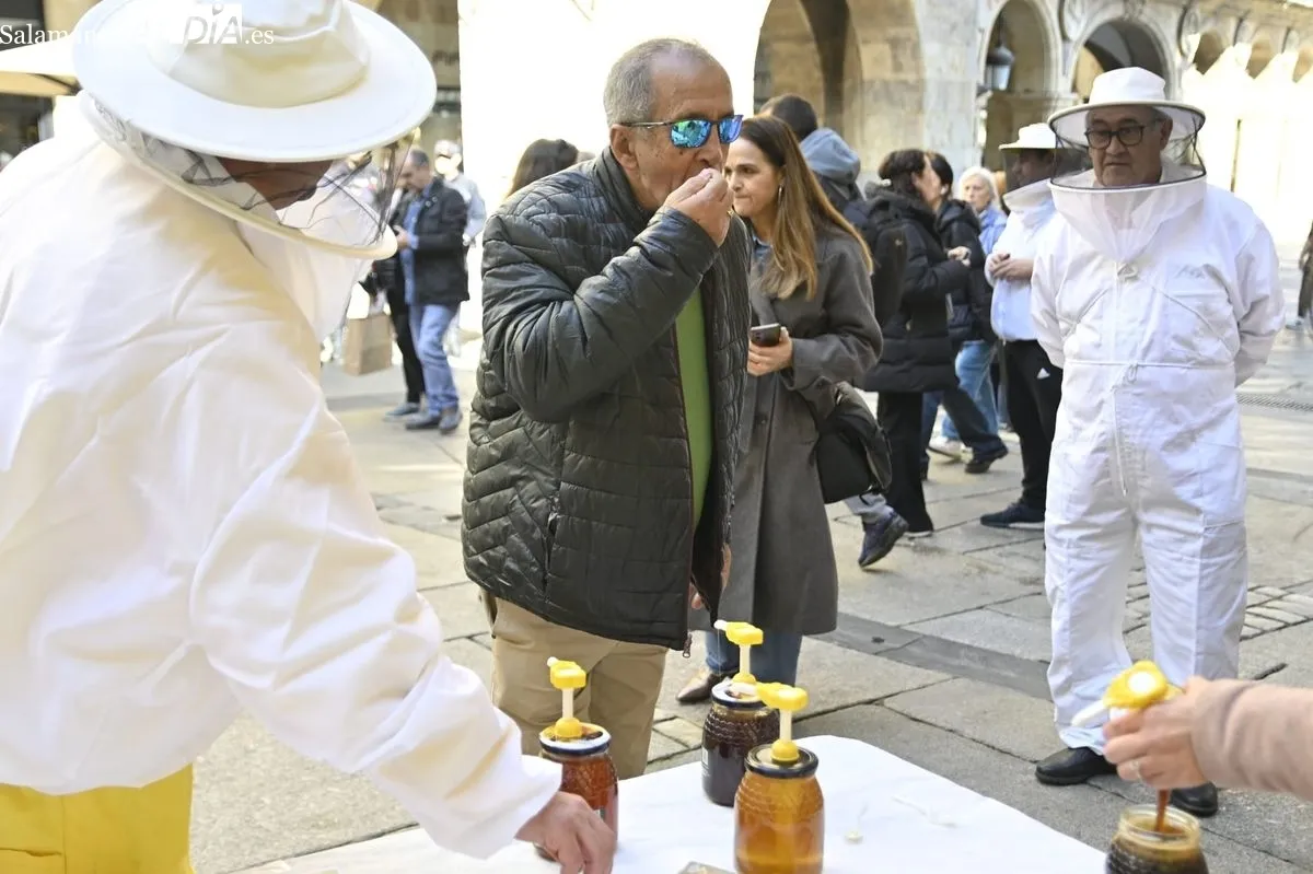 Protesta de apicultores salmantinos, convocados por COAG, en la Plaza del Corrillo. Foto de SALAMANCA AL DÍA