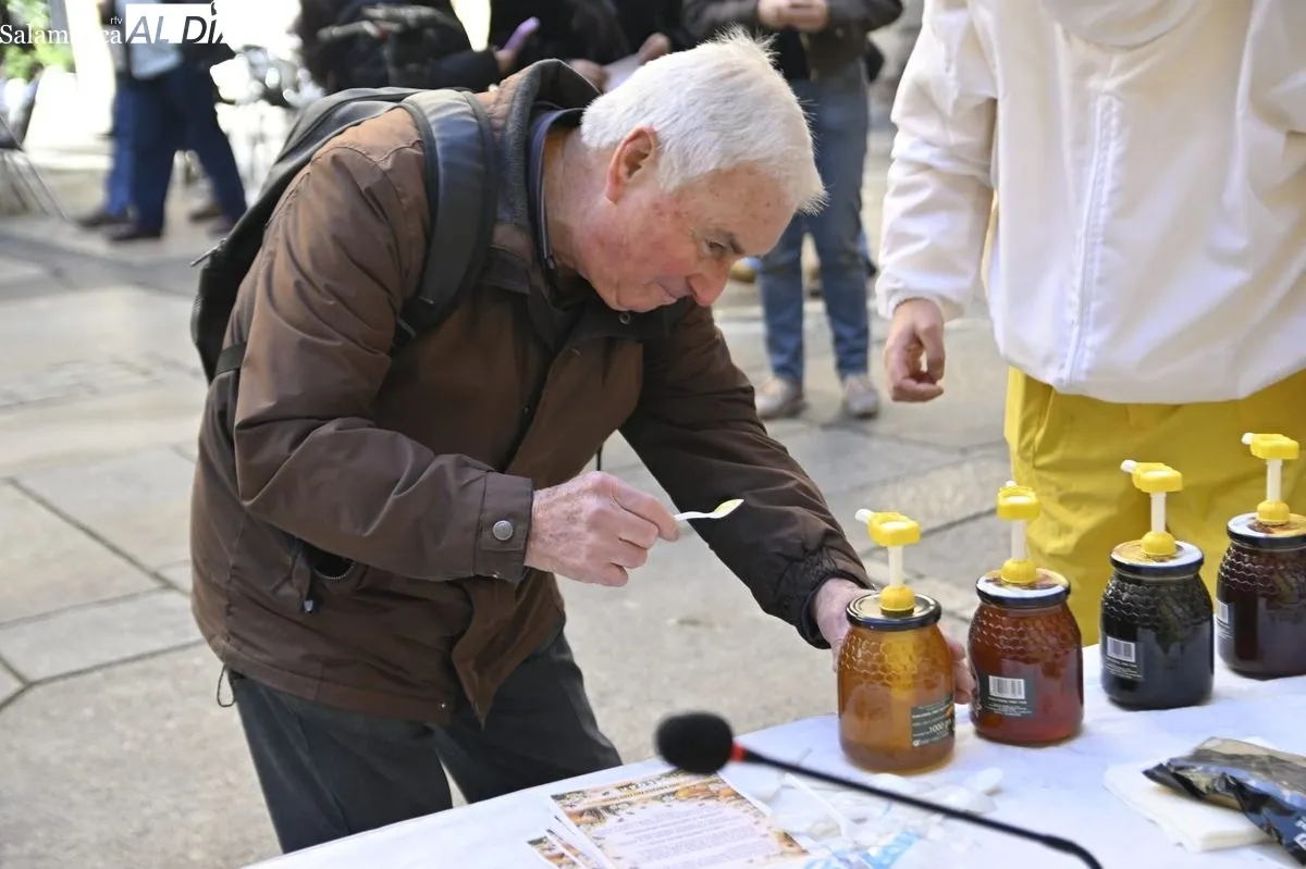 Protesta de apicultores salmantinos, convocados por COAG, en la Plaza del Corrillo. Foto de SALAMANCA AL DÍA