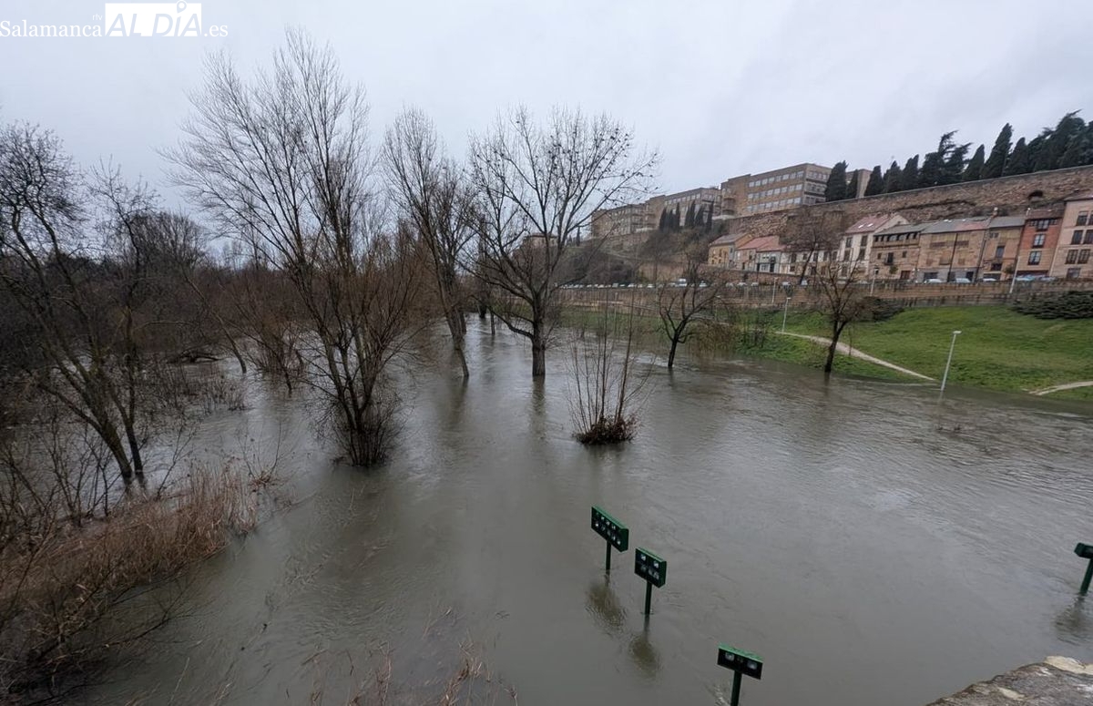 Seguros pagan 1,6 millones por daños climáticos en Salamanca