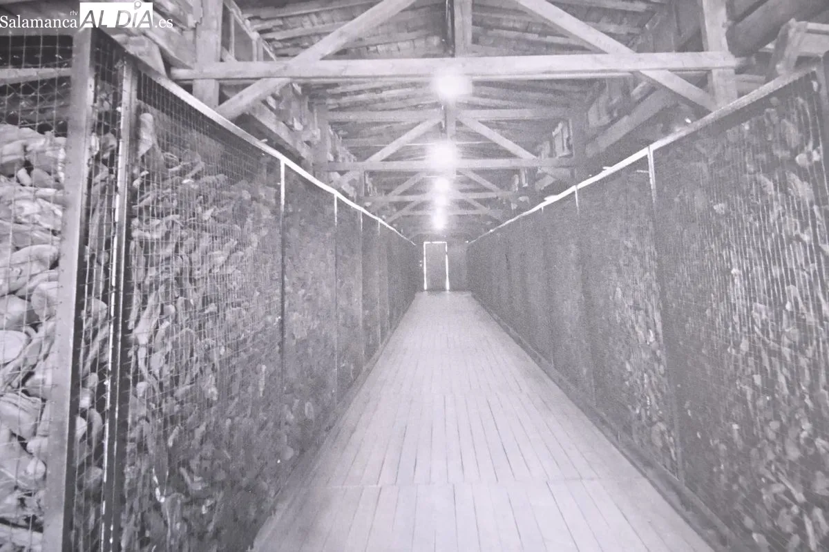Exposición sobre el Holocausto en la Casa de las Conchas. Foto SALAMANCA AL DÍA