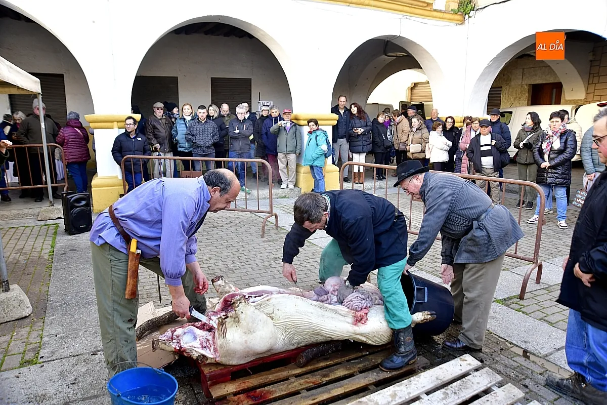 Feria de Botijeros en Ciudad Rodrigo
