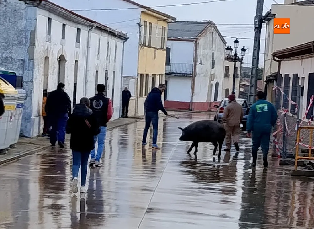 Fiesta de “La Marrana” en Martín de Yeltes