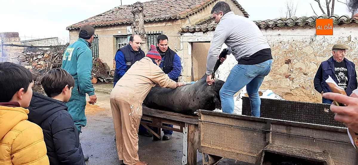 Fiesta de “La Marrana” en Martín de Yeltes