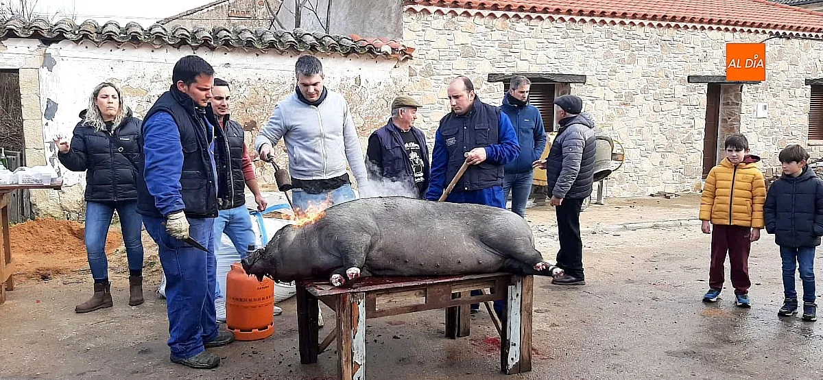 Fiesta de “La Marrana” en Martín de Yeltes