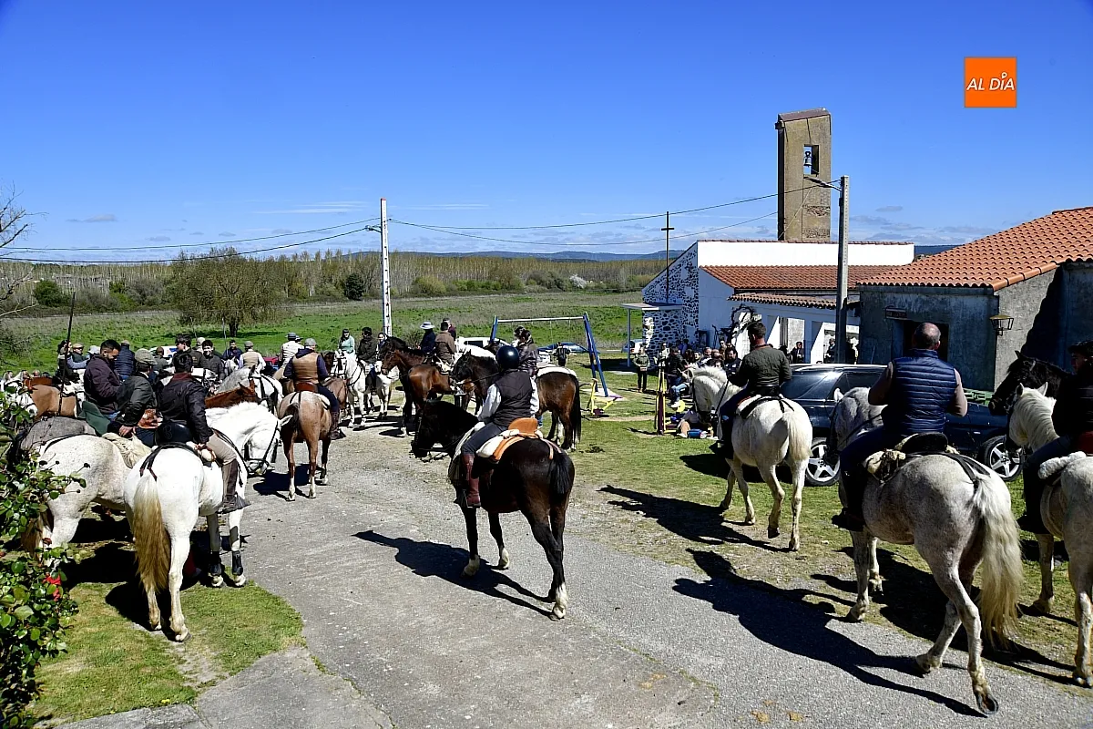 Paseo con bueyes y caballos en las Fiestas de Conejera 